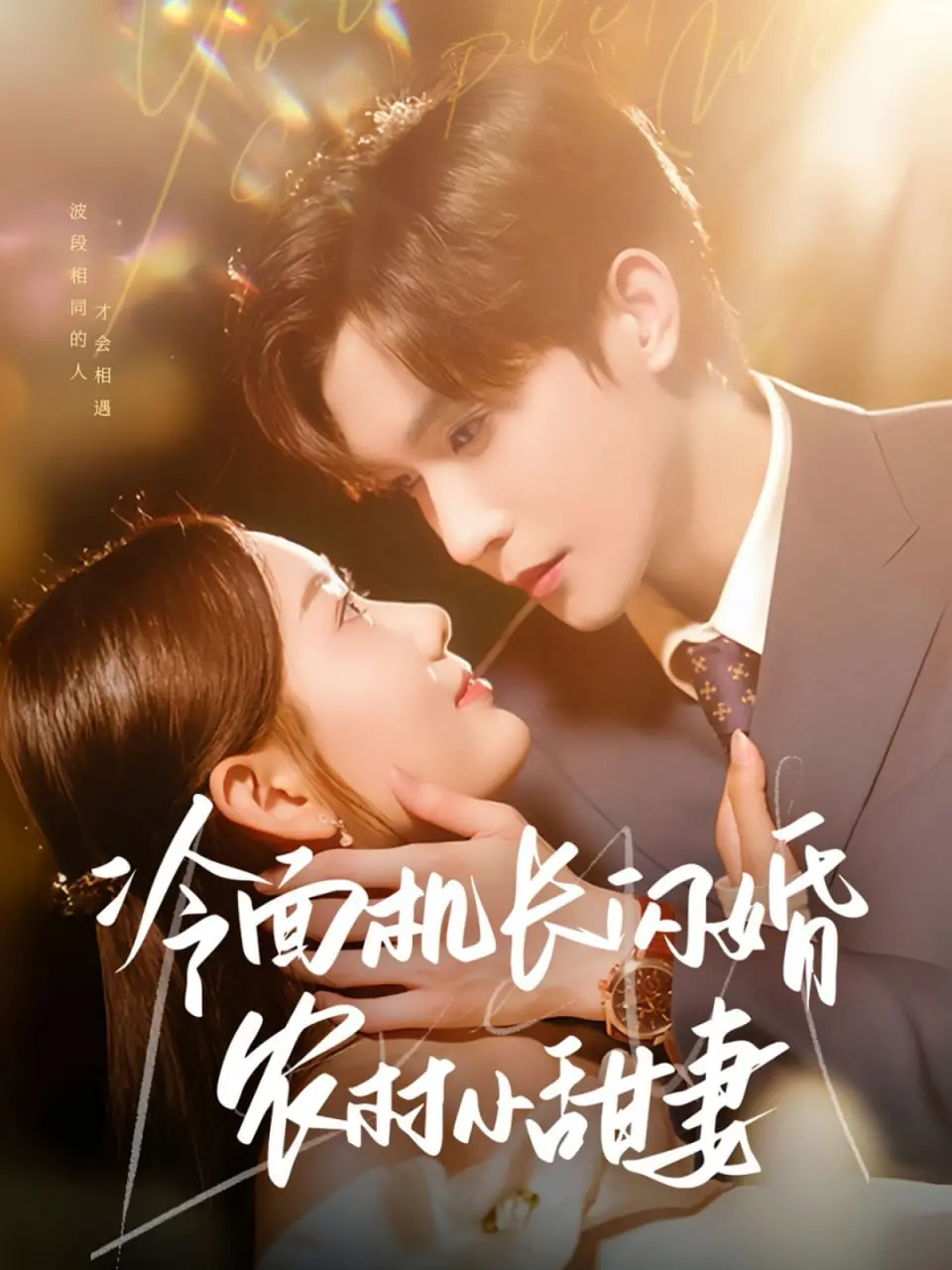 冷面机长闪婚农村小甜妻：从冰冷飞行到甜蜜乡村的爆笑爱情冒险