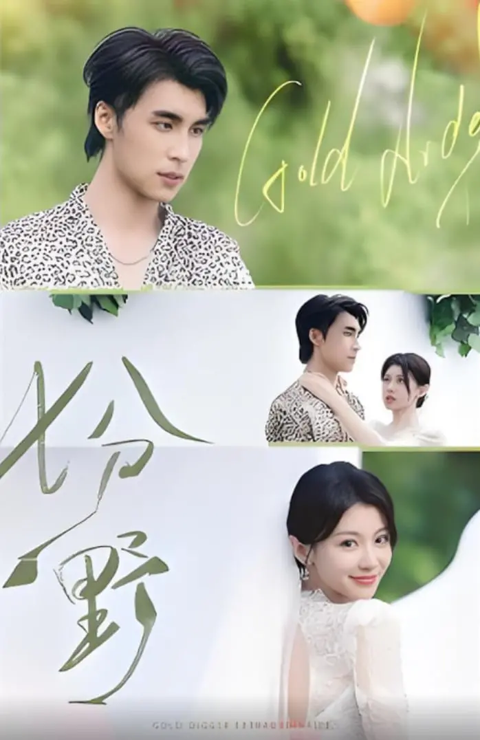 《七分野》：一部触及灵魂深处的现实主义巨作，七段人生悲欢离合的真实写照